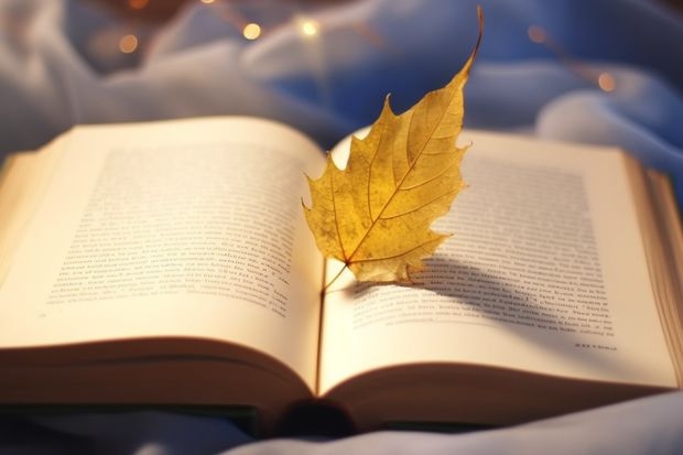 阜阳师范高等专科学校分数线 急··阜阳工业经济学校！！