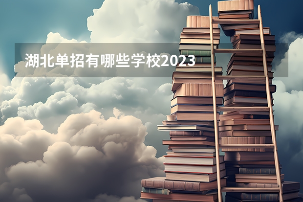 湖北单招有哪些学校2023