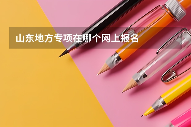 山东地方专项在哪个网上报名