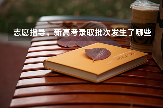 志愿指导,新高考录取批次发生了哪些变化?