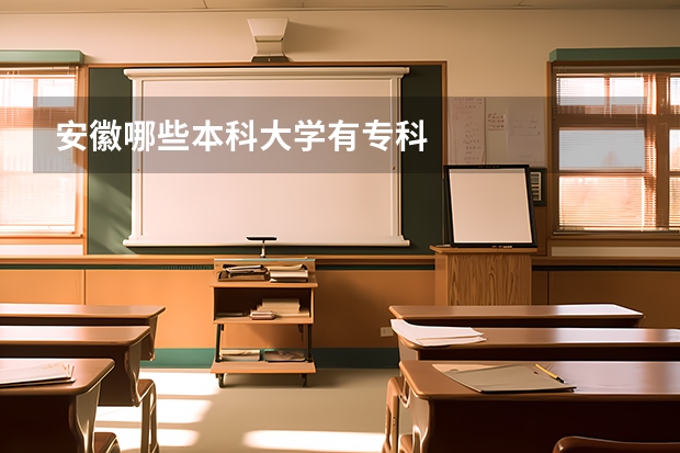 安徽哪些本科大学有专科