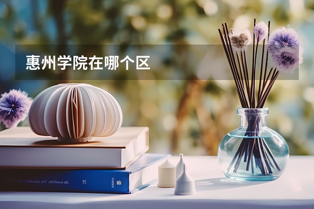 惠州学院在哪个区