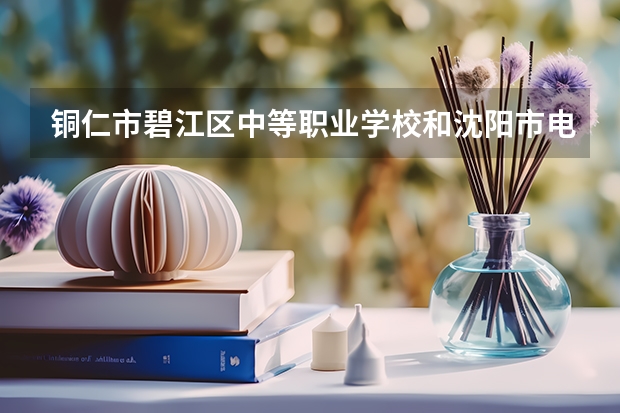 铜仁市碧江区中等职业学校和沈阳市电子技术学校哪个好 对比