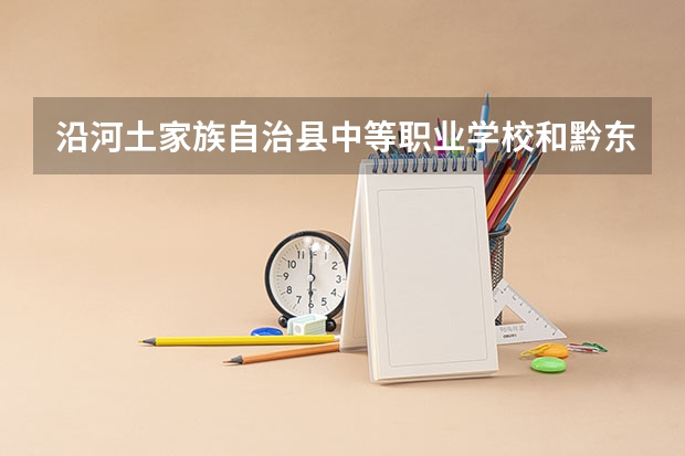 沿河土家族自治县中等职业学校和黔东南州应用技术学校哪个好 对比