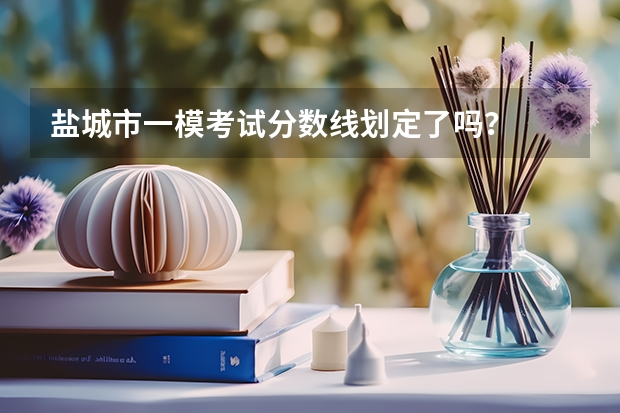 盐城市一模考试分数线划定了吗?