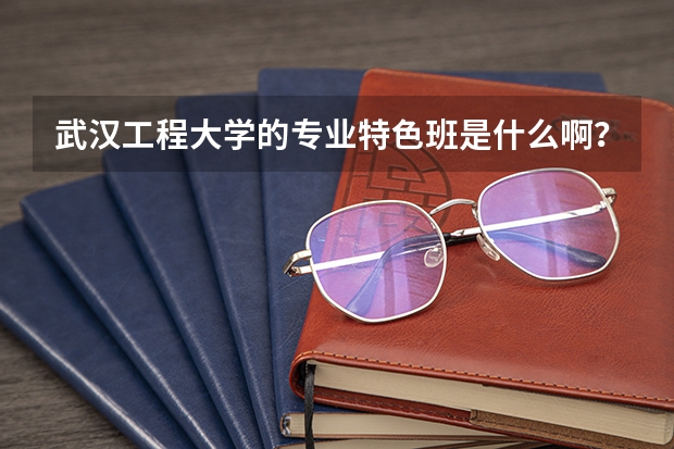 武汉工程大学的专业特色班是什么啊?我看09招生章程上说过一本就会进特色班的,是不是啊???