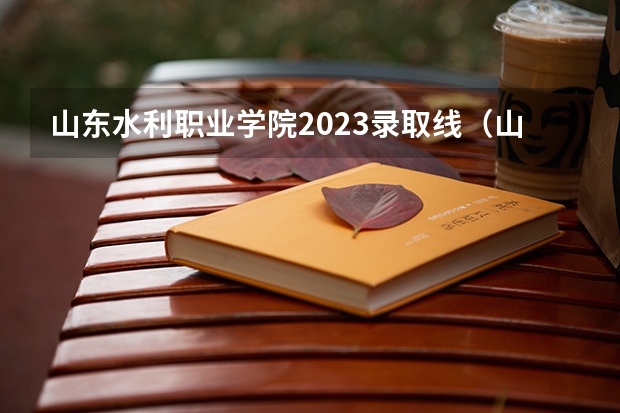 山东水利职业学院2023录取线（山东交通职业学院单招分数线）