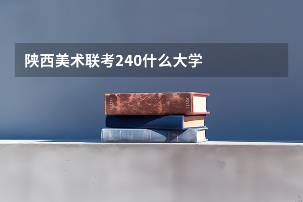 陕西美术联考240什么大学
