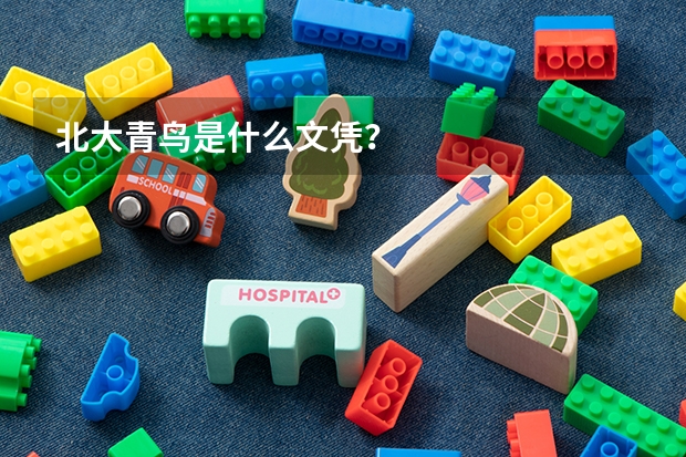 北大青鸟是什么文凭?