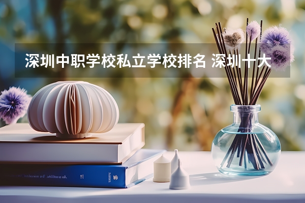 深圳中职学校私立学校排名 深圳十大私立贵族学校排名