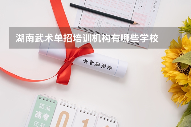 湖南武术单招培训机构有哪些学校