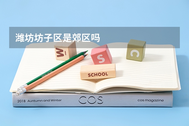 潍坊坊子区是郊区吗