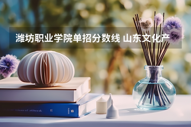 潍坊职业学院单招分数线 山东文化产业职业学院单招分数线