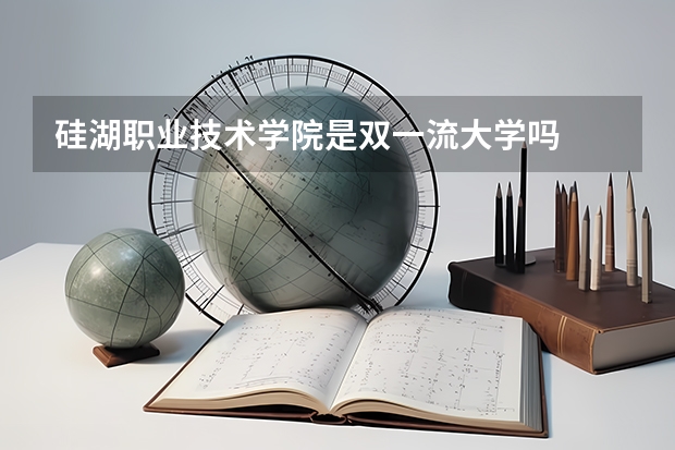 硅湖职业技术学院是双一流大学吗
