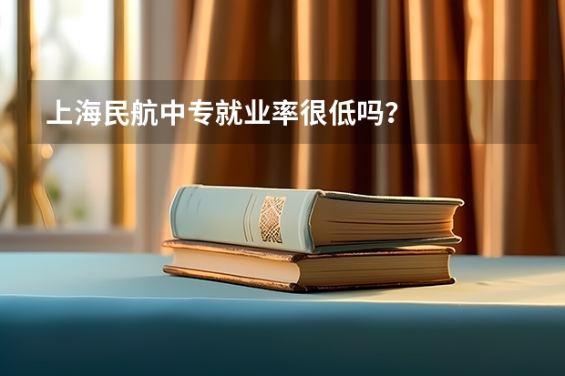 上海民航中专就业率很低吗？