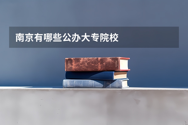 南京有哪些公办大专院校