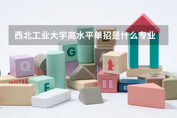 西北工业大学高水平单招是什么专业