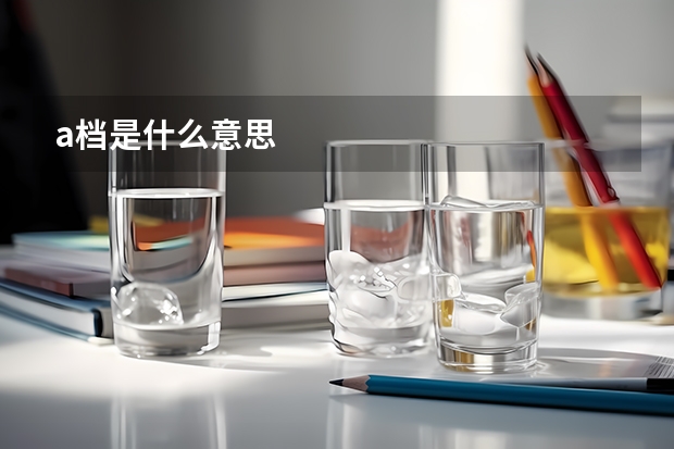 a档是什么意思