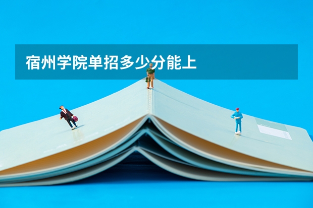 宿州学院单招多少分能上