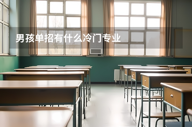 男孩单招有什么冷门专业
