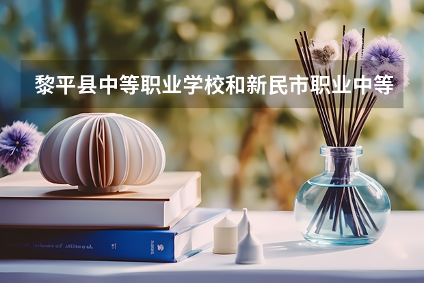 黎平县中等职业学校和新民市职业中等专业学校哪个好 对比