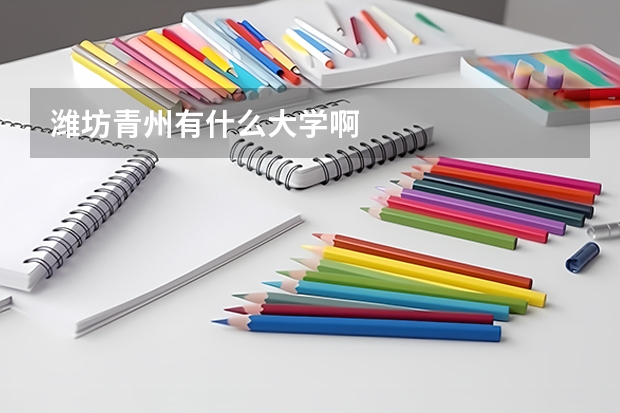 潍坊青州有什么大学啊